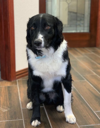 Max